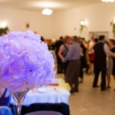 1_krestansky_ples_lenartov (58)